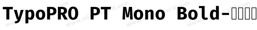 TypoPRO PT Mono Bold字体转换